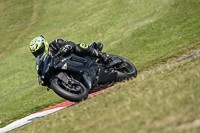 Middle Group Black Bikes